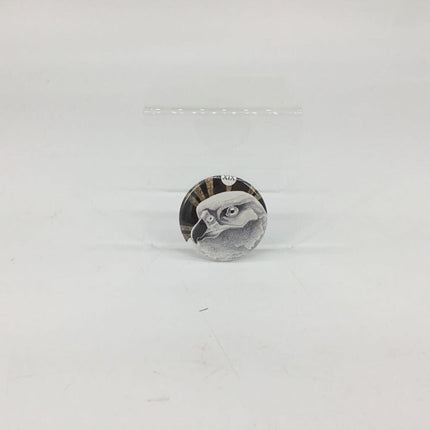 The Avian Tarot Pins