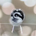 The Empress | Swan / New