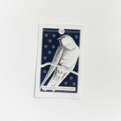 The Avian Tarot Stickers - view 3
