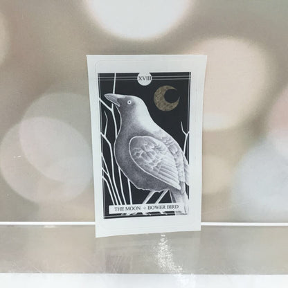 The Avian Tarot Stickers