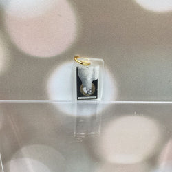 The Avian Tarot Resin Charms - view 4