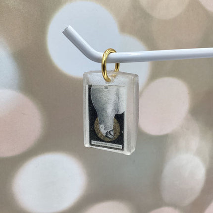 The Avian Tarot Resin Charms