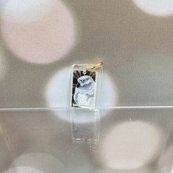 The Avian Tarot Resin Charms - view 16