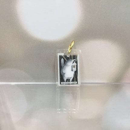 The Avian Tarot Resin Charms