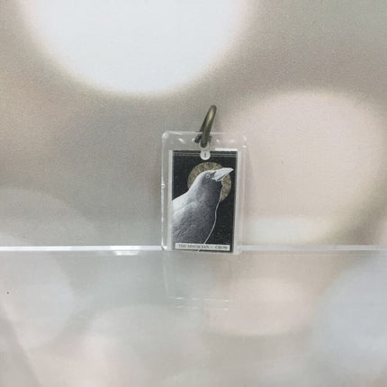 The Avian Tarot Resin Charms