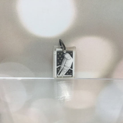 The Avian Tarot Resin Charms