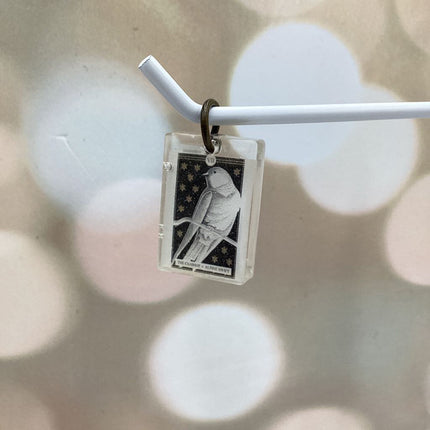 The Avian Tarot Resin Charms