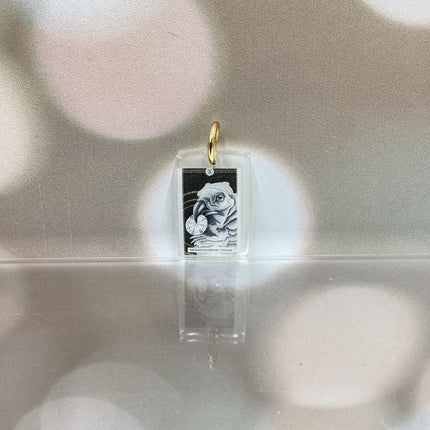 The Avian Tarot Resin Charms