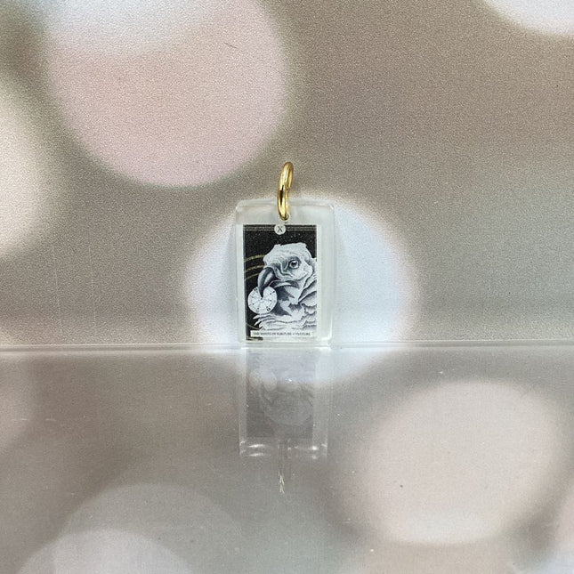 The Avian Tarot Resin Charms