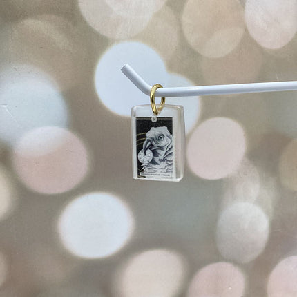 The Avian Tarot Resin Charms