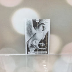 The Avian Tarot Magnets - view 3