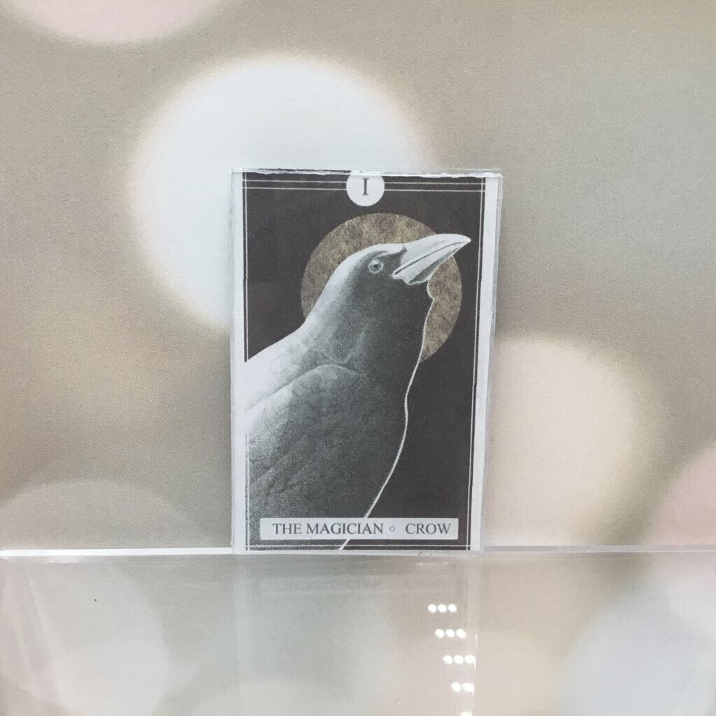 The Avian Tarot Magnets