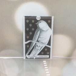The Avian Tarot Magnets - view 4