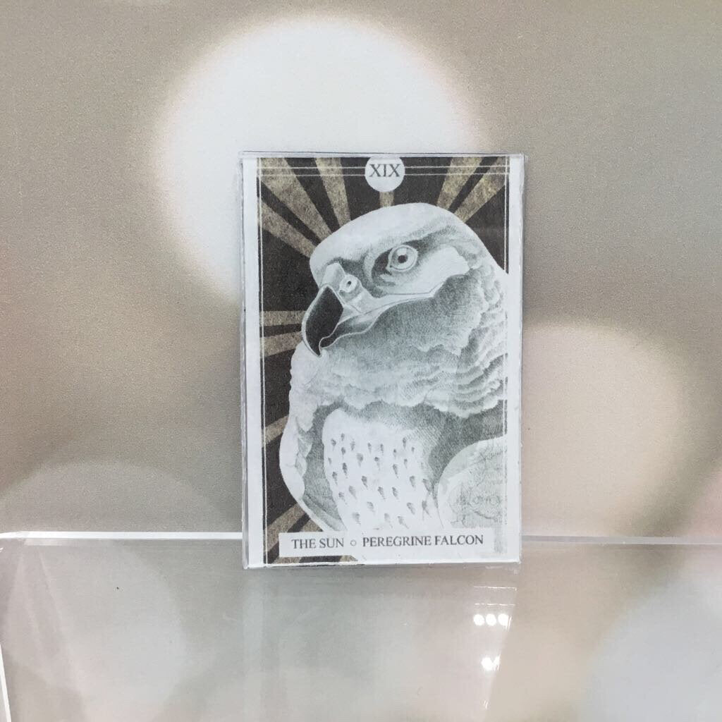 The Avian Tarot Magnets