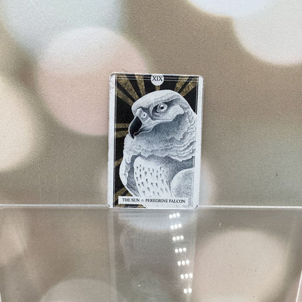 The Avian Tarot Magnets