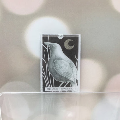 The Avian Tarot Magnets