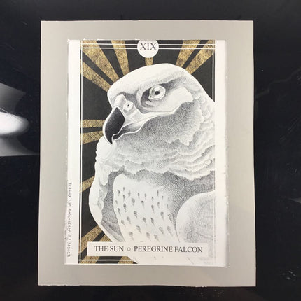 The Avian Tarot Matted Prints