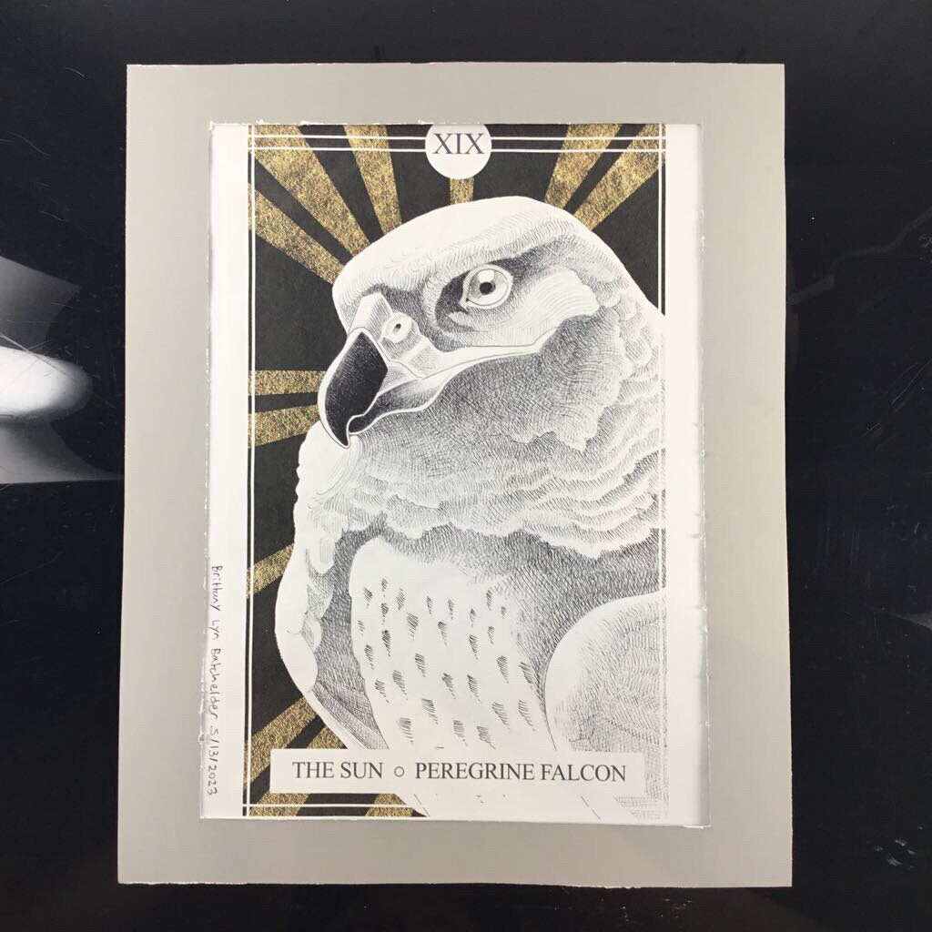 The Avian Tarot Matted Prints