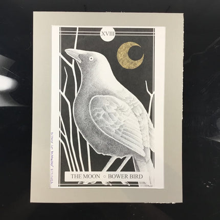 The Avian Tarot Matted Prints