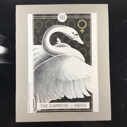 The Avian Tarot Matted Prints - view 9