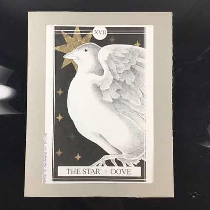 The Avian Tarot Matted Prints