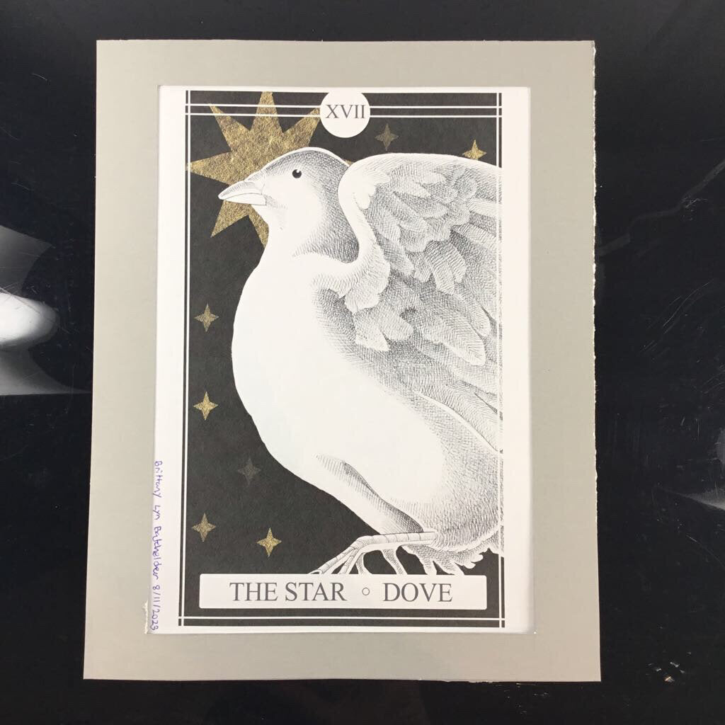 The Avian Tarot Matted Prints