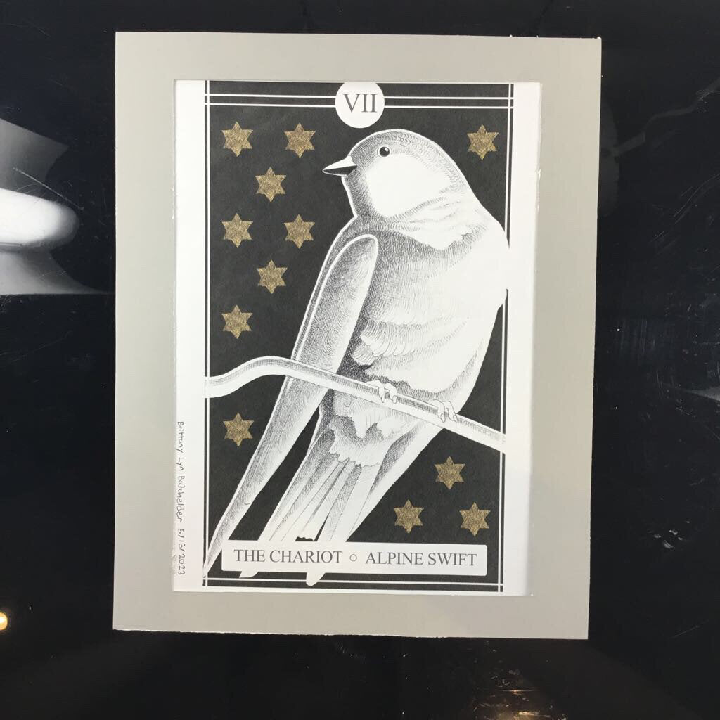 The Avian Tarot Matted Prints