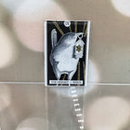 The Hermit l Wren / New