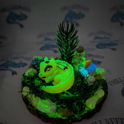 Baby Dragon Nest - view 2