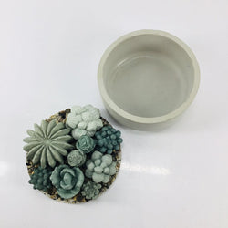 Concrete Succulent Garden Container - view 1