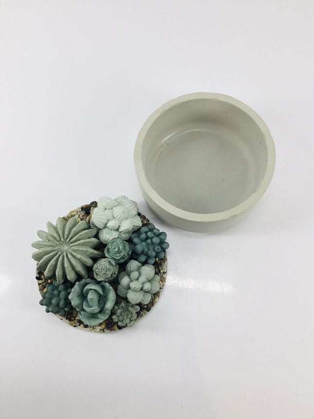 Concrete Succulent Garden Container