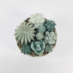 Concrete Succulent Garden Container - view 2