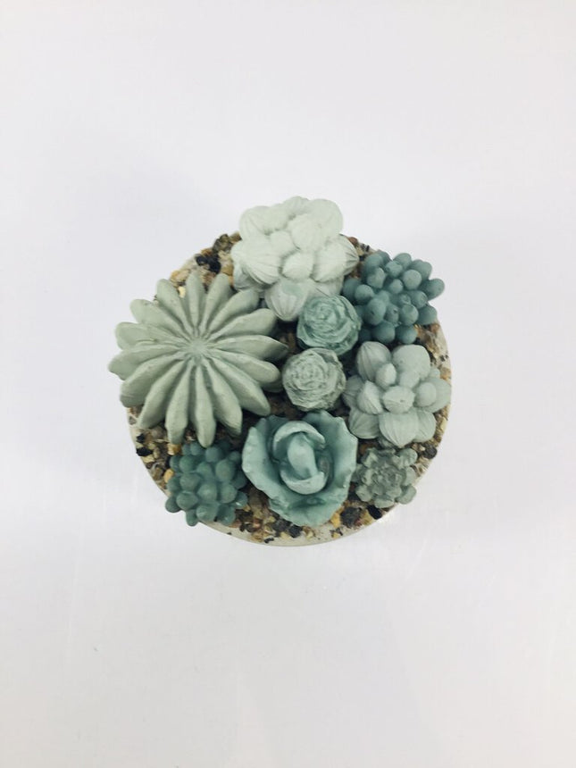 Concrete Succulent Garden Container