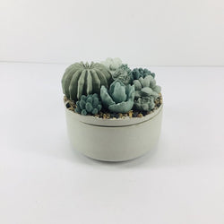 Concrete Succulent Garden Container - view 3