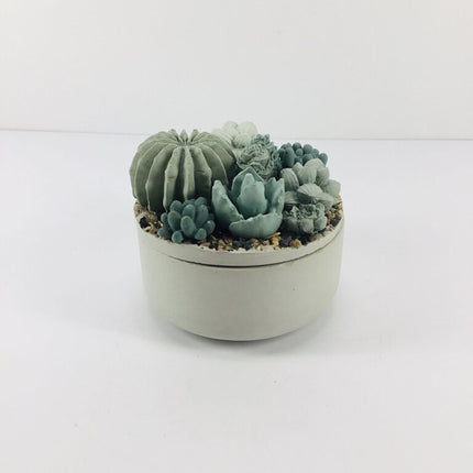 Concrete Succulent Garden Container