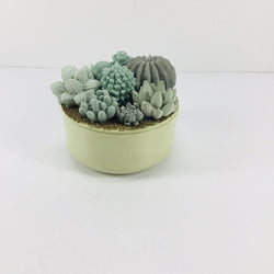 Concrete Succulent Garden Container - view 1