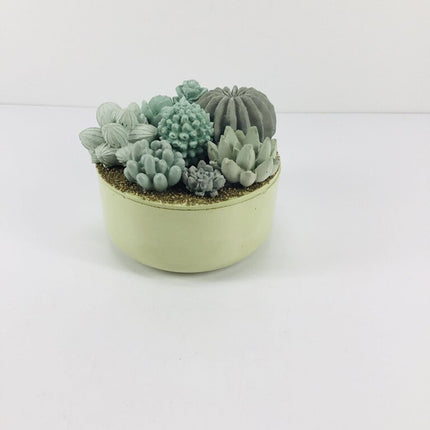 Concrete Succulent Garden Container