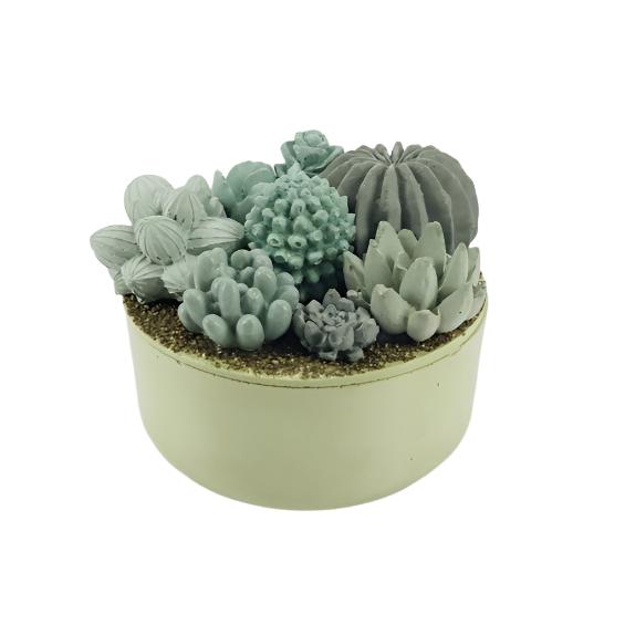 Concrete Succulent Garden Container