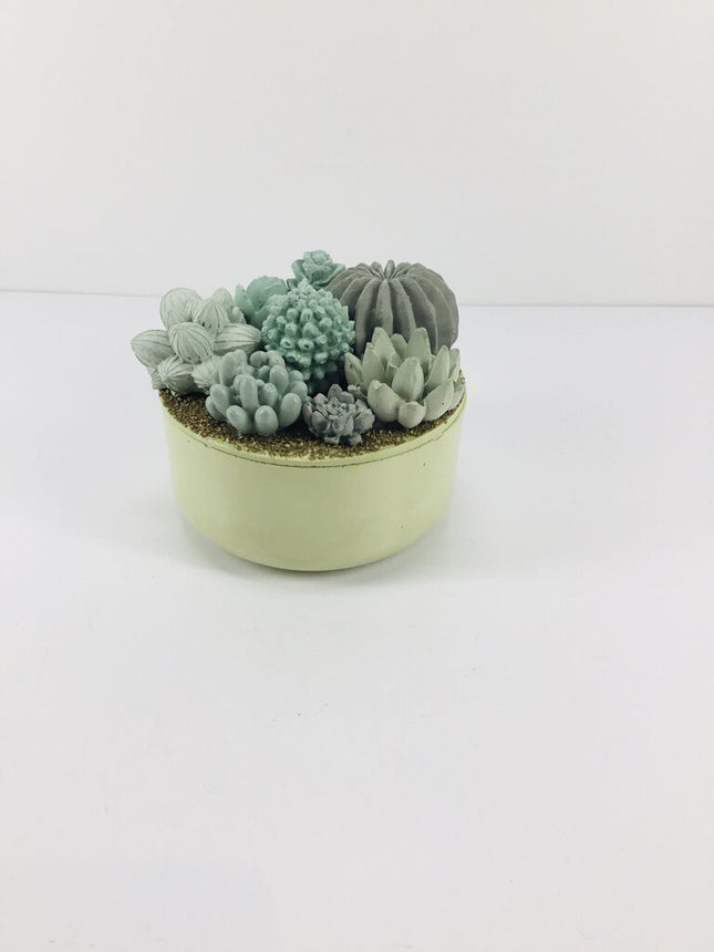 Concrete Succulent Garden Container