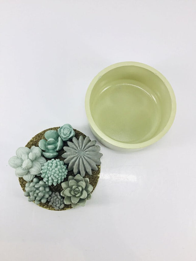 Concrete Succulent Garden Container