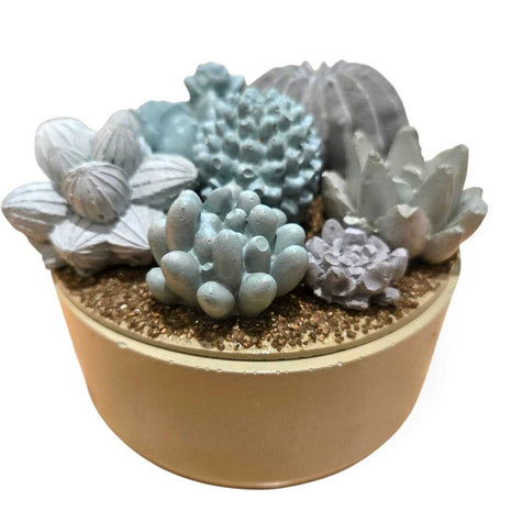 Concrete Succulent Garden Container
