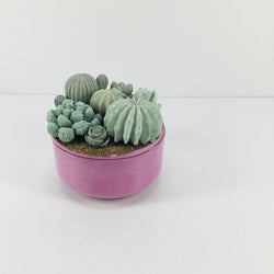 Concrete Succulent Garden Container - view 1