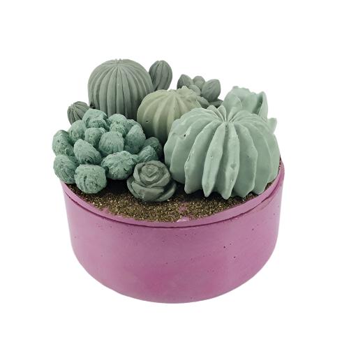 Concrete Succulent Garden Container