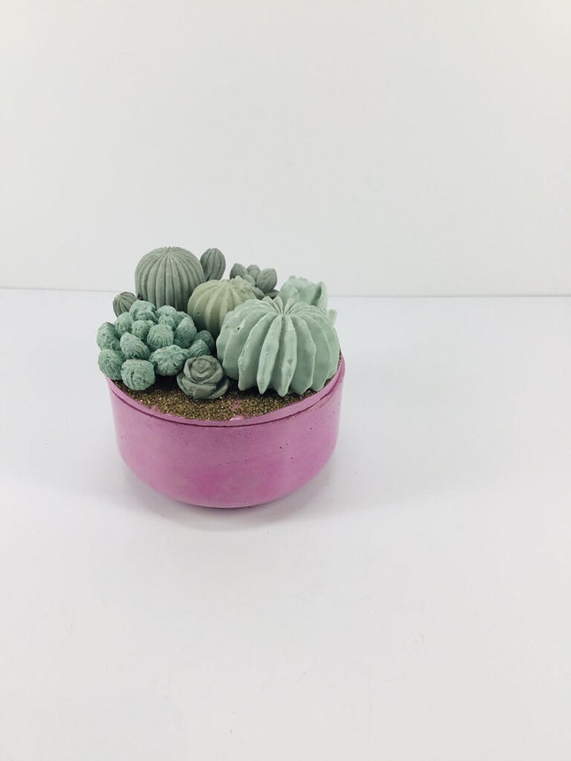 Concrete Succulent Garden Container