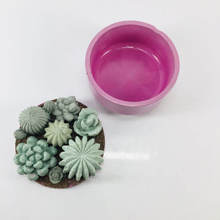 Concrete Succulent Garden Container