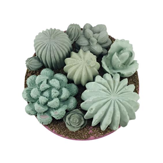 Concrete Succulent Garden Container