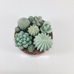 Concrete Succulent Garden Container - view 2