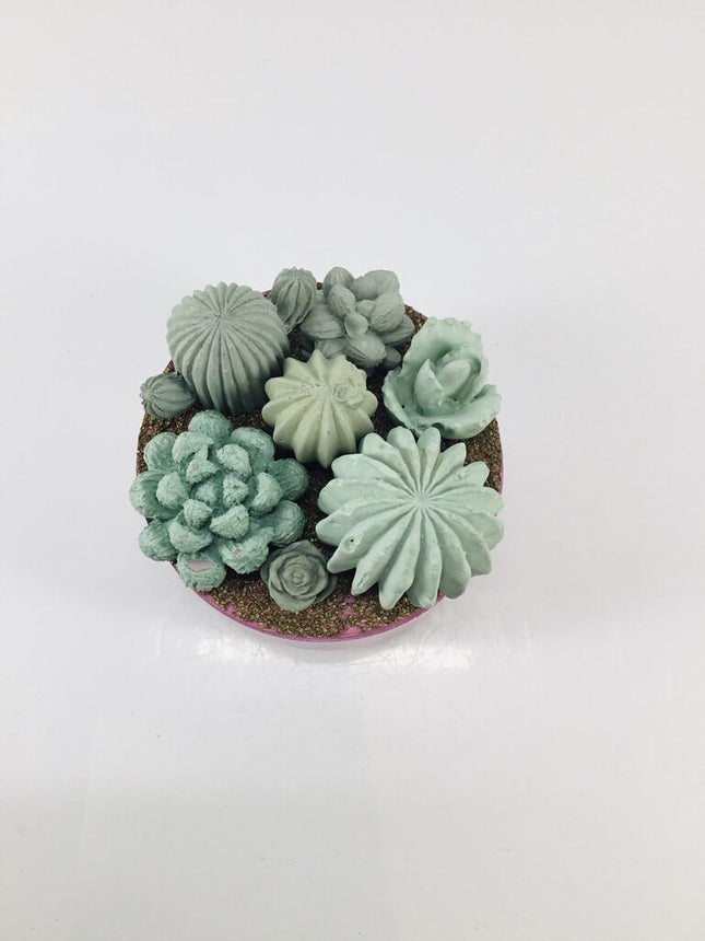 Concrete Succulent Garden Container