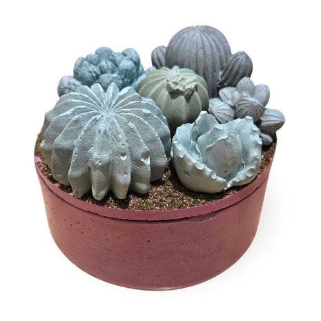 Concrete Succulent Garden Container