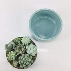 Concrete Succulent Garden Container - view 2
